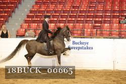 18BUCK_00665 proof