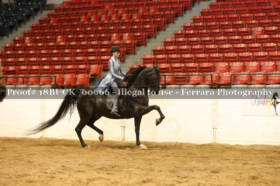 Proof 18BUCK_00666