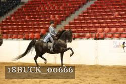 18BUCK_00666 proof