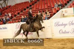 18BUCK_00667 proof
