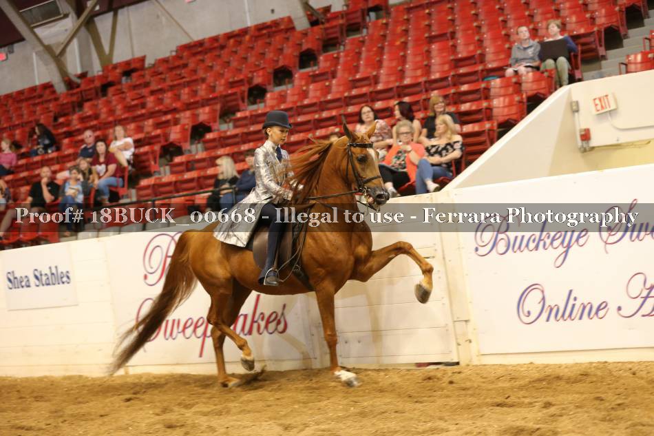 Proof 18BUCK_00668