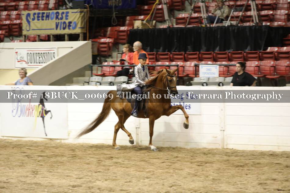 Proof 18BUCK_00669