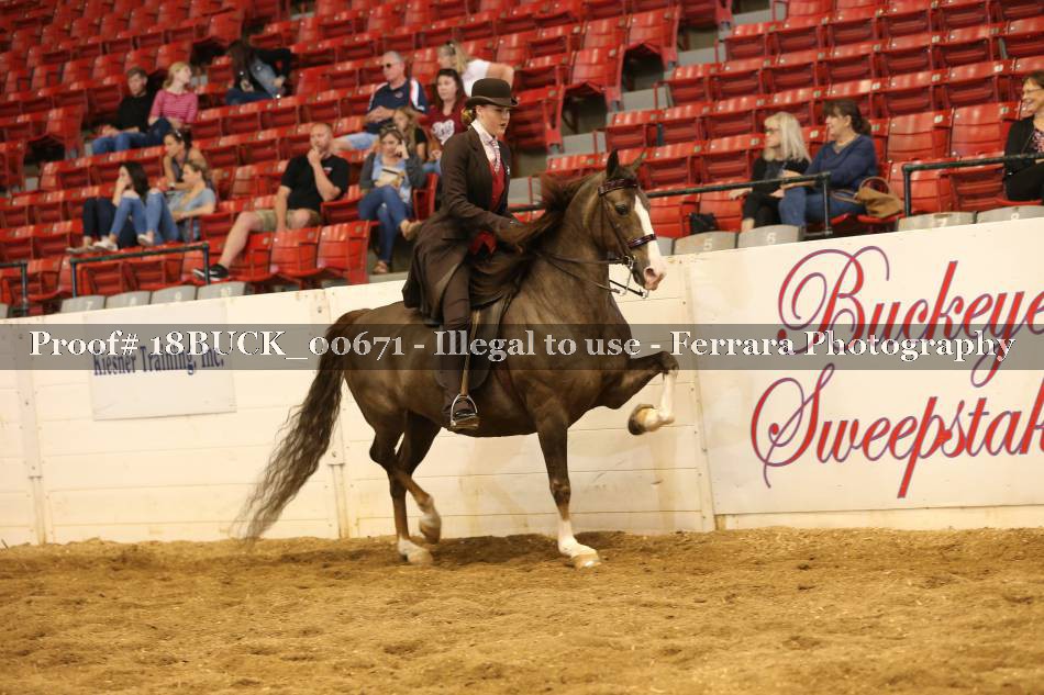 Proof 18BUCK_00671