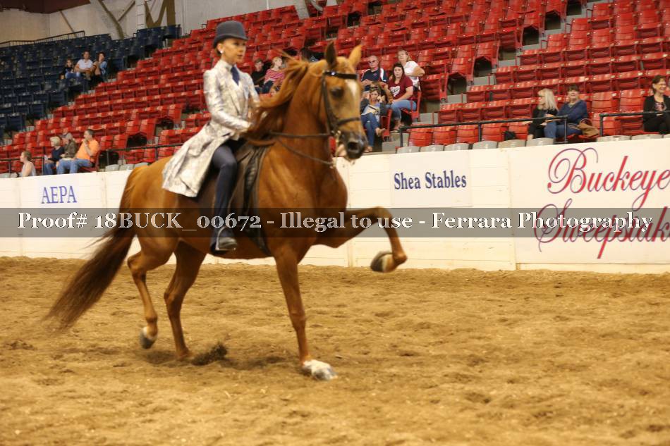 Proof 18BUCK_00672