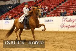 18BUCK_00672 proof