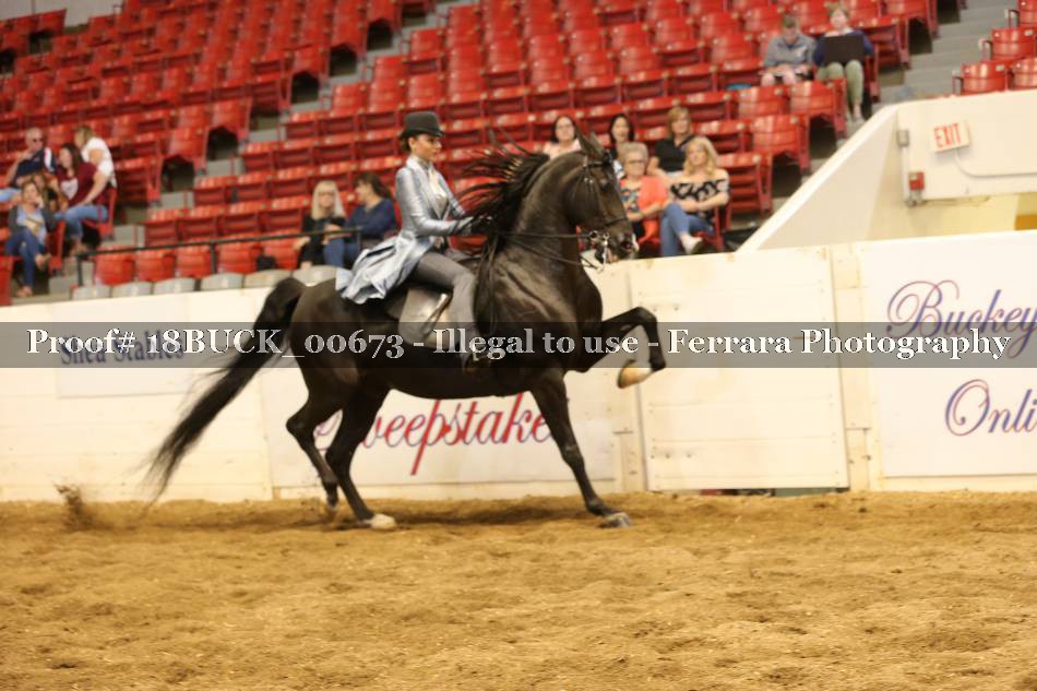 Proof 18BUCK_00673