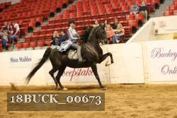 18BUCK_00673 proof