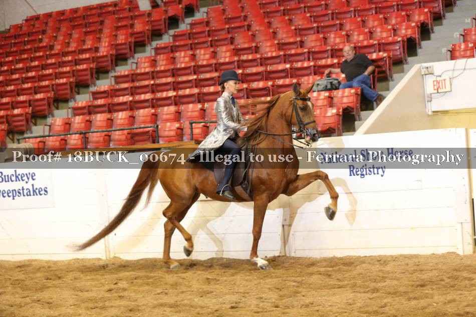 Proof 18BUCK_00674