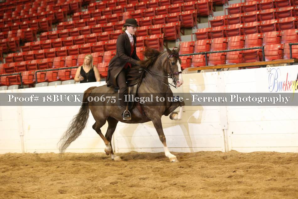 Proof 18BUCK_00675