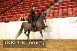 18BUCK_00675 proof