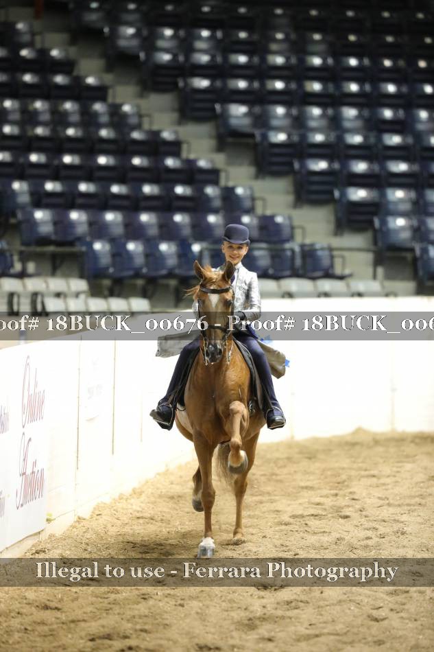 Proof 18BUCK_00676