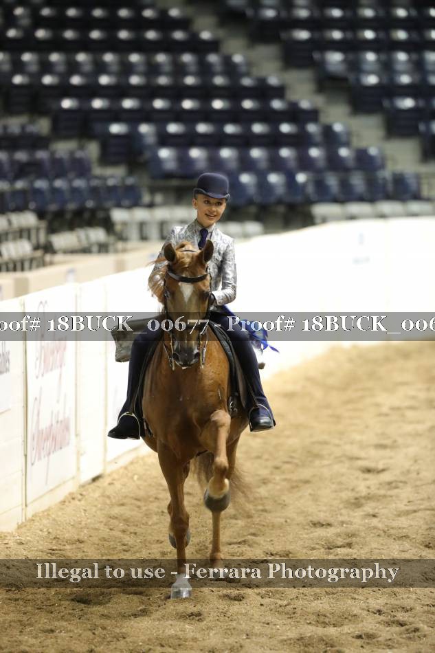 Proof 18BUCK_00677