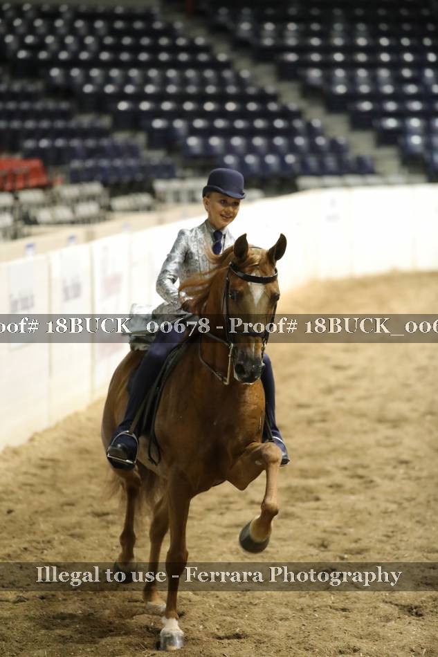 Proof 18BUCK_00678