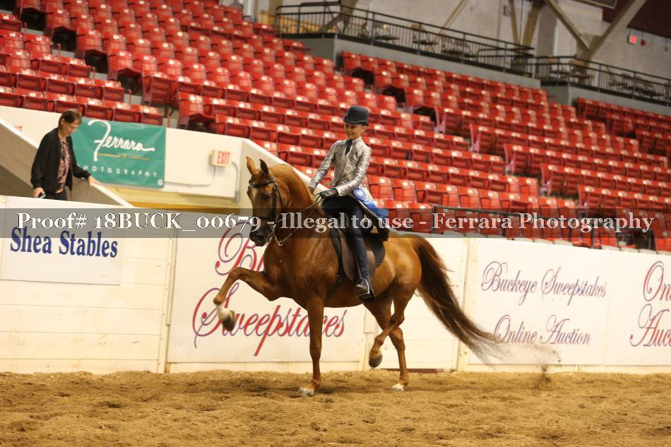 Proof 18BUCK_00679