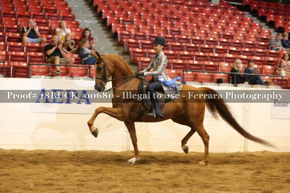 Proof 18BUCK_00680