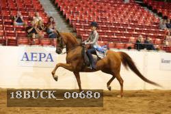 18BUCK_00680 proof