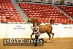 18BUCK_00683 proof