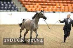 18BUCK_00684 proof
