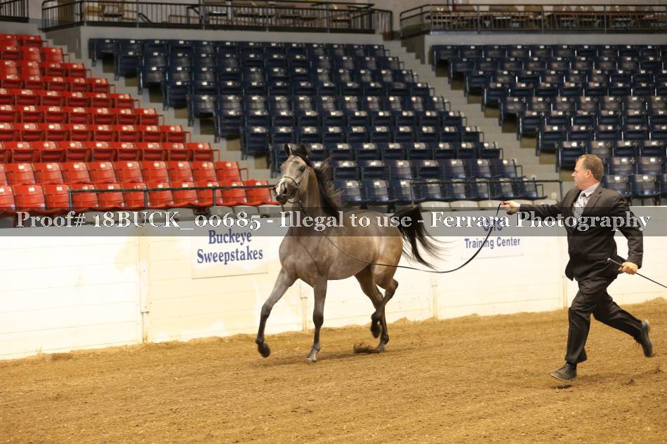 Proof 18BUCK_00685