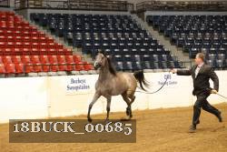 18BUCK_00685 proof
