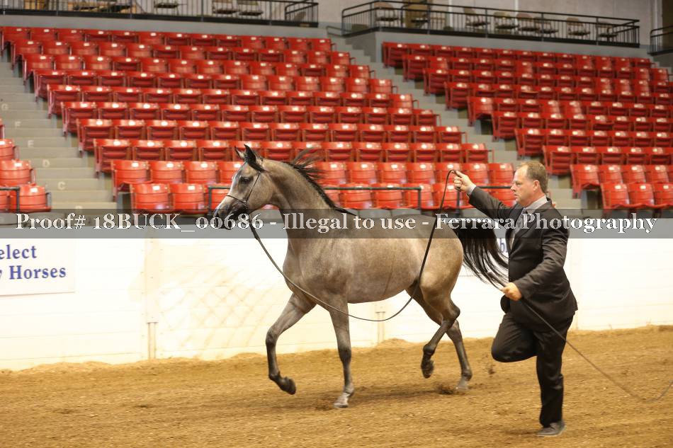 Proof 18BUCK_00686