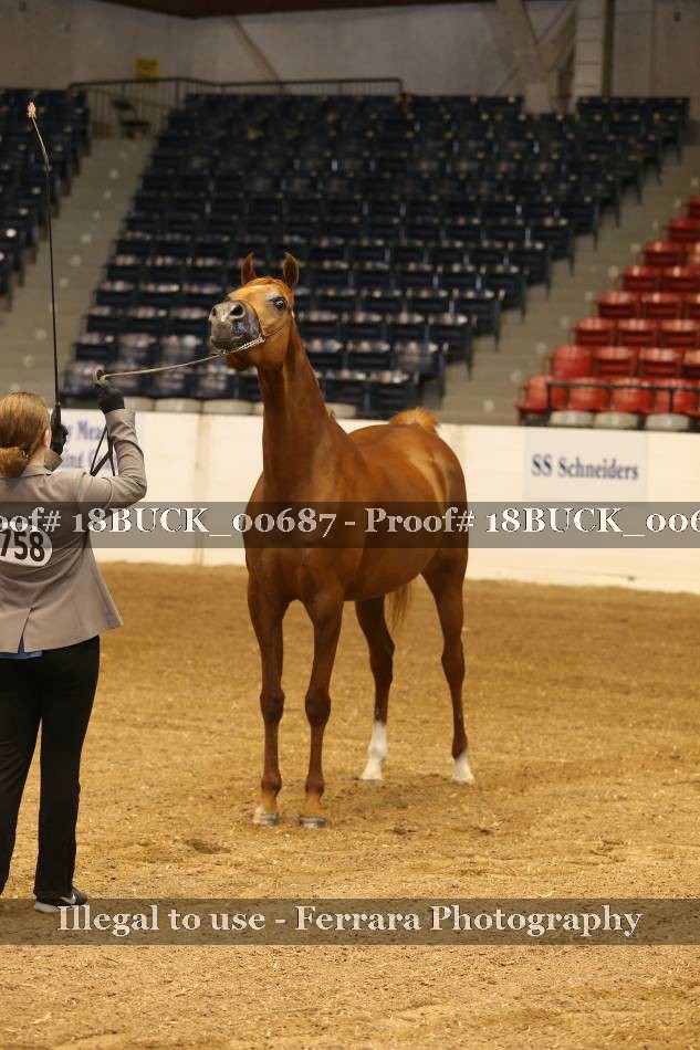 Proof 18BUCK_00687