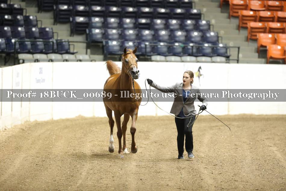 Proof 18BUCK_00689