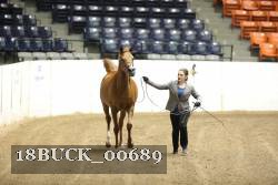 18BUCK_00689 proof
