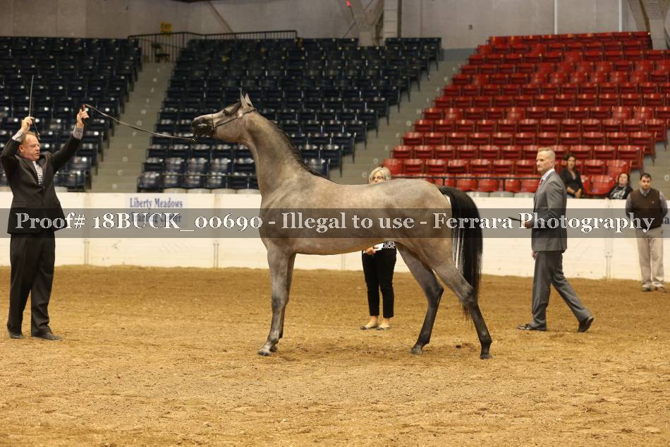 Proof 18BUCK_00690