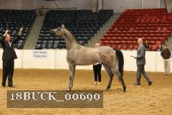 18BUCK_00690 proof