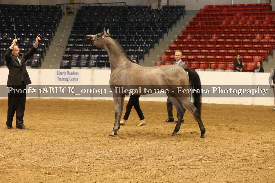 Proof 18BUCK_00691