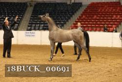 18BUCK_00691 proof