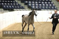 18BUCK_00692 proof