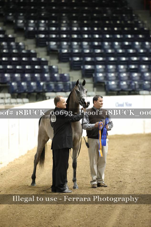Proof 18BUCK_00693
