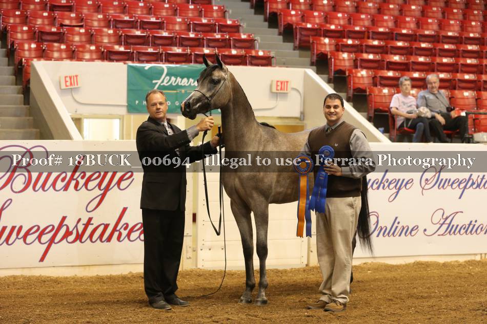 Proof 18BUCK_00694