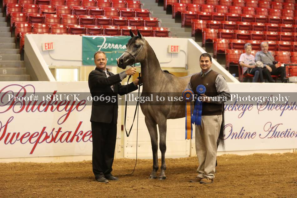 Proof 18BUCK_00695