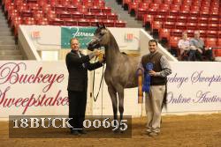 18BUCK_00695 proof