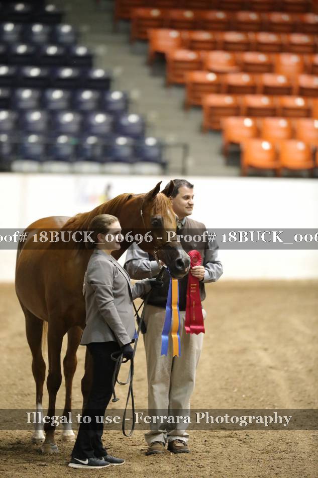 Proof 18BUCK_00696