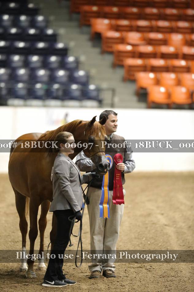 Proof 18BUCK_00697
