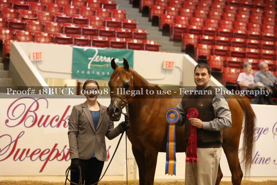 Proof 18BUCK_00698