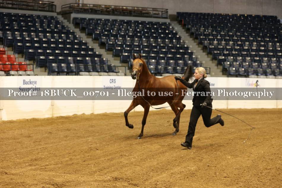 Proof 18BUCK_00701