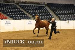 18BUCK_00701 proof