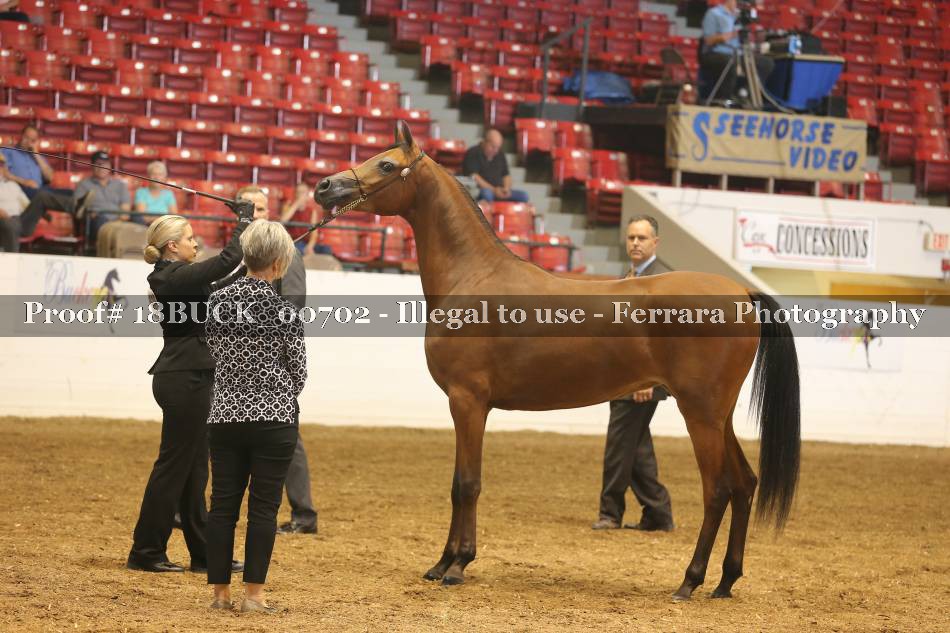 Proof 18BUCK_00702