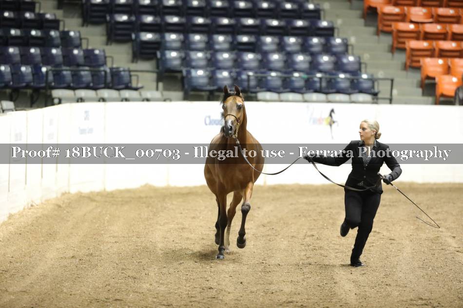 Proof 18BUCK_00703