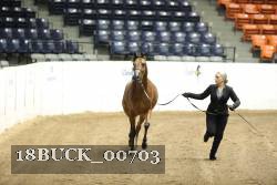 18BUCK_00703 proof