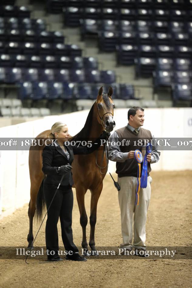 Proof 18BUCK_00705