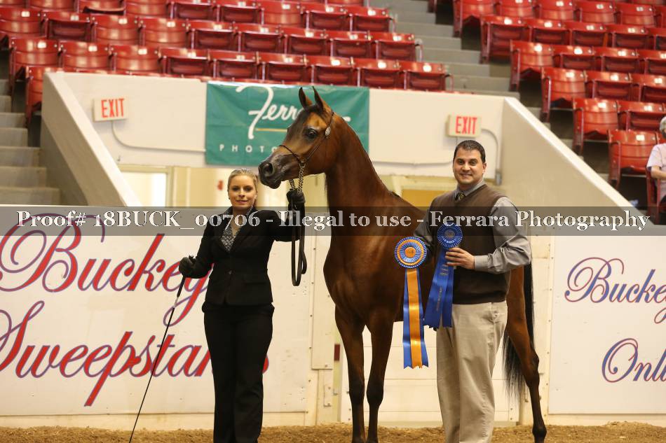 Proof 18BUCK_00706