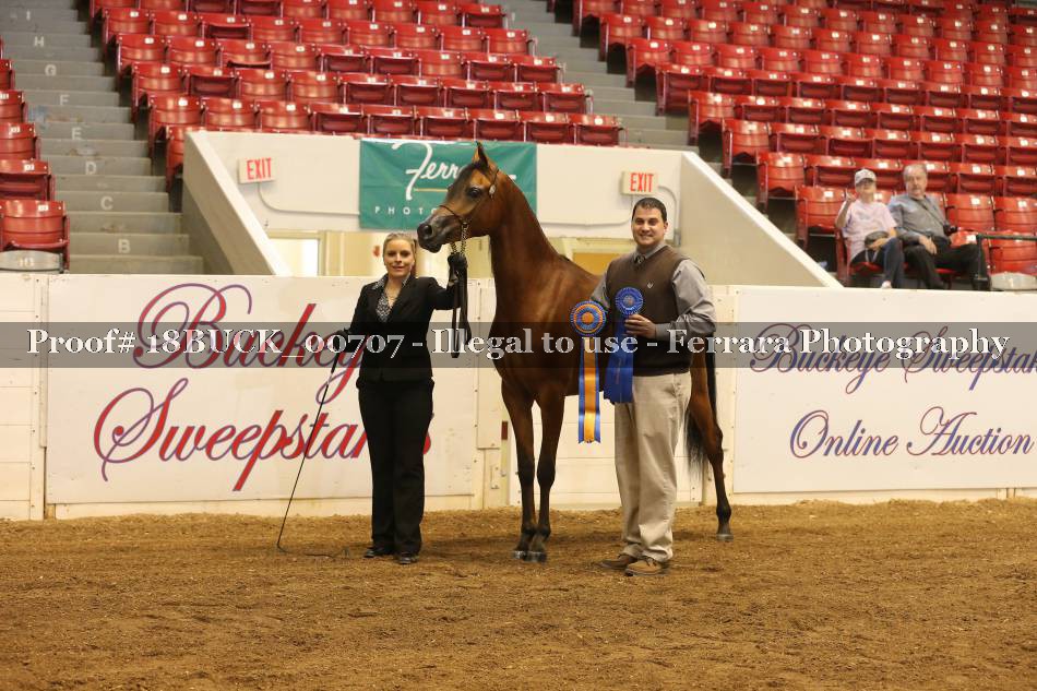 Proof 18BUCK_00707