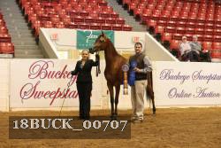 18BUCK_00707 proof
