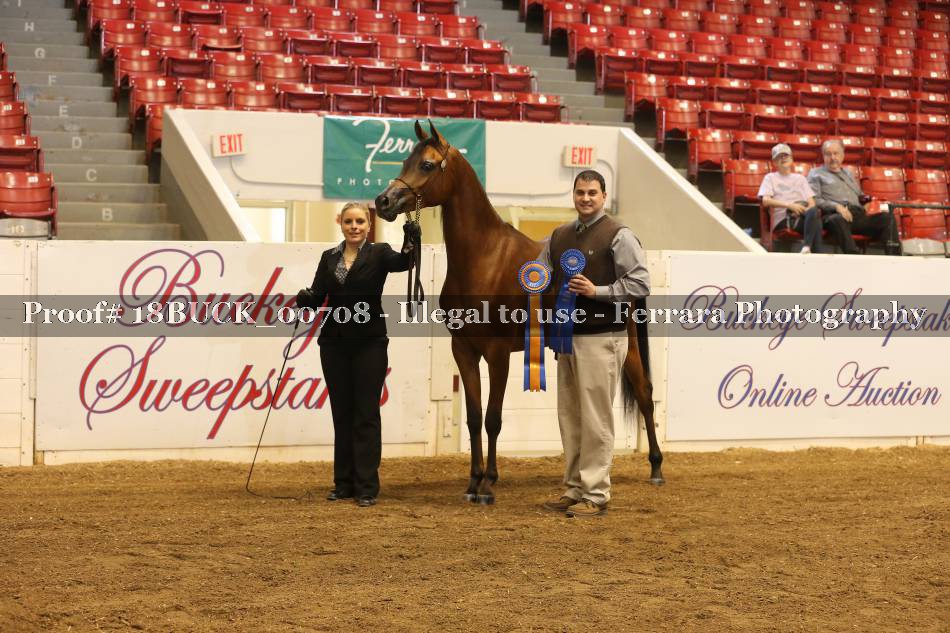 Proof 18BUCK_00708